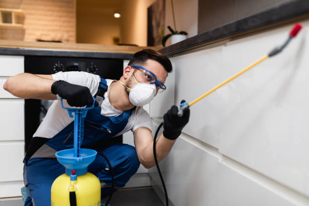 Best Local Pest Control Services  in Port Jefferson Station, NY
