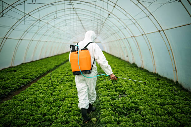 Best Commercial Pest Control Services  in Port Jefferson Station, NY