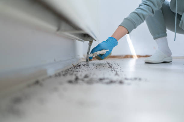 Trusted Port Jefferson Station, NY Pest Control Experts